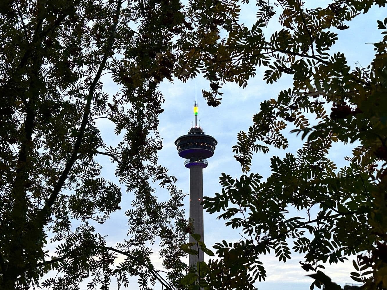 Näkymä Tampereesta, Näsinneula